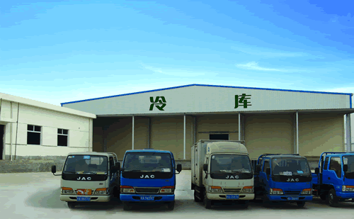 裝配式冷庫建造發展，冷庫建造的好處